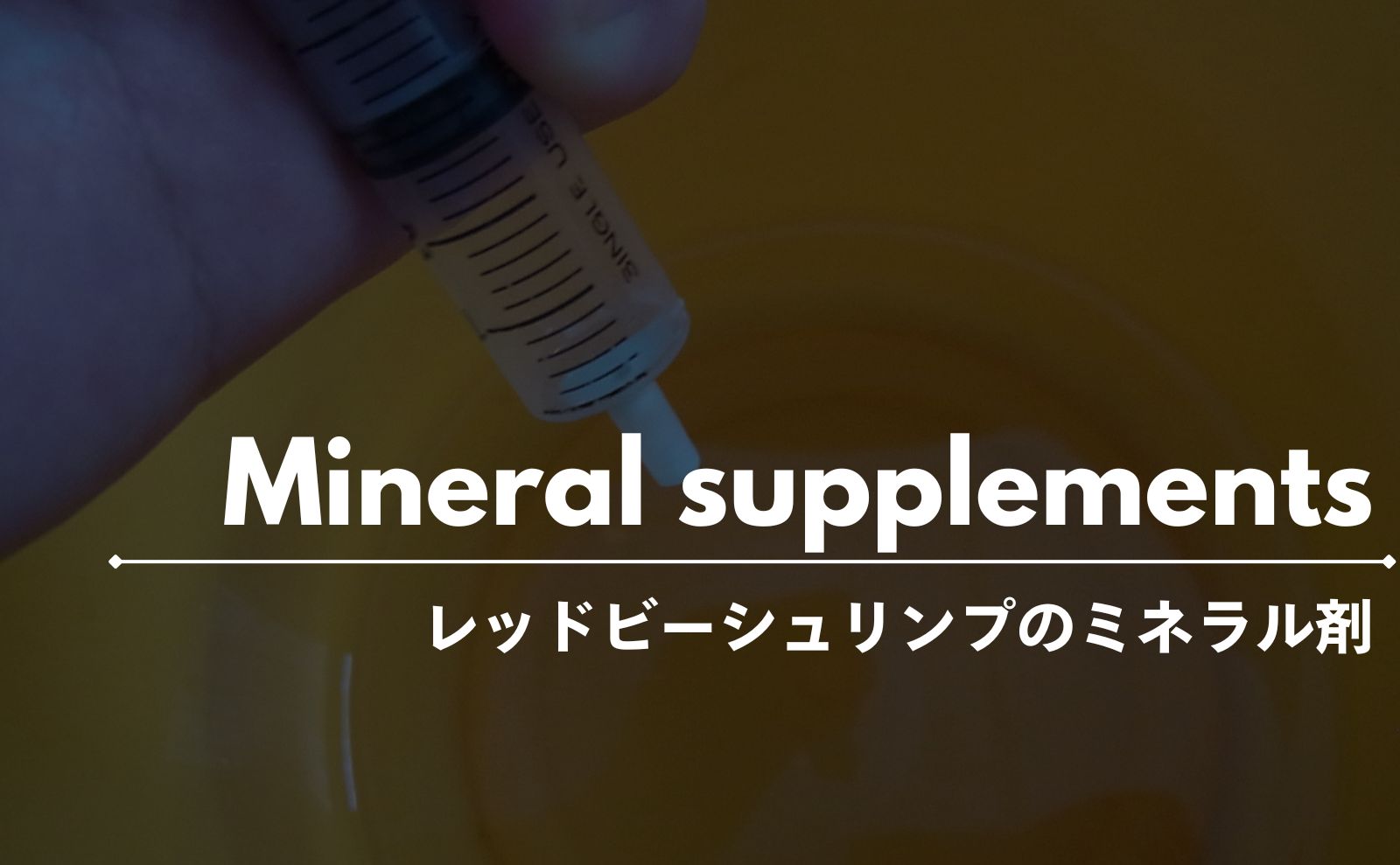 レッドビーシュリンプに必要なミネラル剤の使い方と注意点